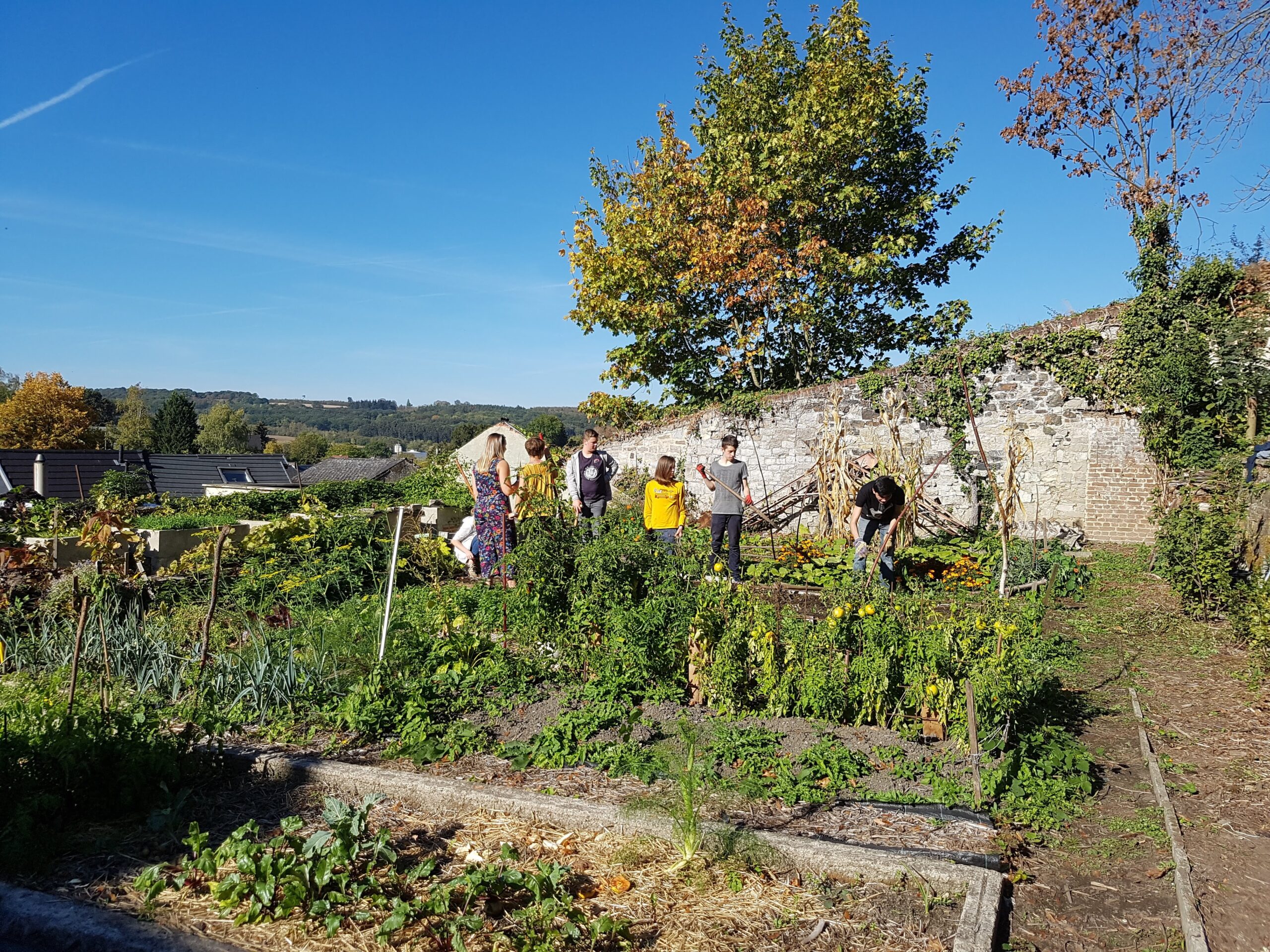 Visite des jardins de l&rsquo;abbaye